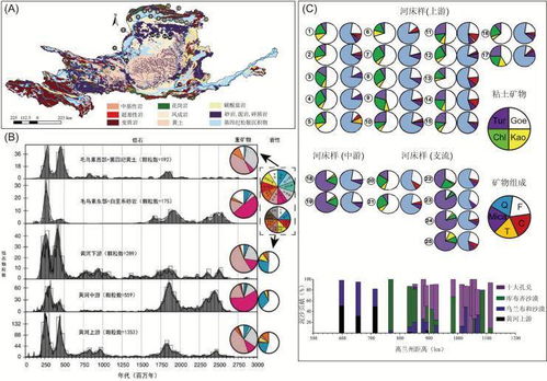 测另一半的姓氏：测另一半的姓氏，科学遗传与人文传承的双重密码