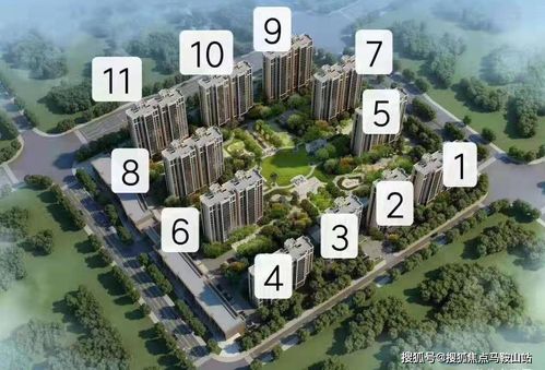 大专自考报名入口官网(大专自考报名入口官网海口)