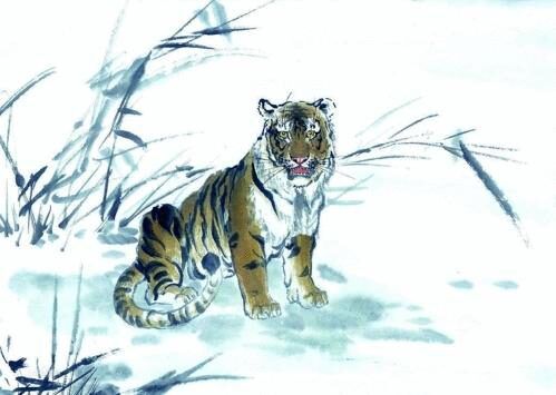 虎年最旺的四个属相：虎年最旺的四个属相，运势飙升、贵人相助、事业腾飞、财源广进全解析