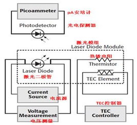 手机号码测试免费:免费手机号码测试全攻略,如何安全高效验证号码真实性?