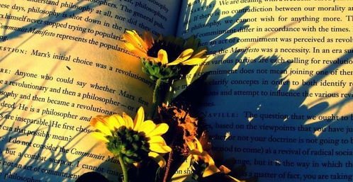 生肖星座配对姻缘：生肖星座双视角，解码姻缘天定与后天经营的科学配对法则