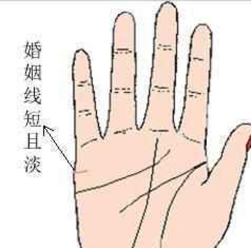 女生看姻缘线手相准吗：手相中的姻缘线，真的能预测你的爱情吗？