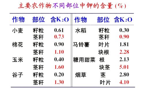 电话吉凶测吉凶查询：电话吉凶测吉凶查询，玄学智慧与数字科技的奇妙碰撞