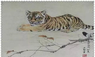 属虎最佳婚配：属虎人最佳婚配指南，生肖相合+性格互补=幸福长久