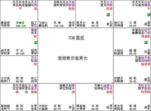 紫微斗数命格查询:紫微斗数命格查询,入门指南与科学解读 紫微斗数命格查询:紫微斗数命格查询,入门指南与科学解读