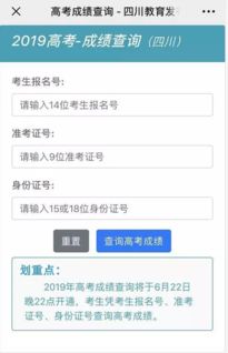 四川教育考试院官网（四川教育考试院官网成绩查询入口）