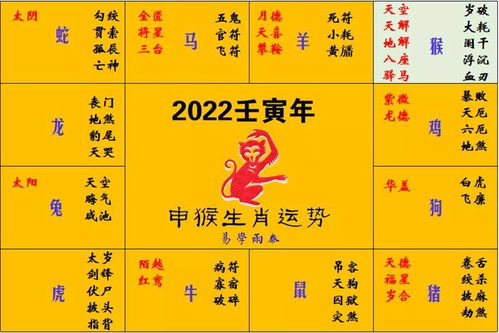 2022年出生属什么:2022年出生属虎?生肖与出生日期全解析,你的属相藏在农历春节里 2022年出生属什么:2022年出生属虎?生肖与出生日期全解析,你的属相藏在农历春节里