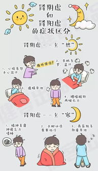 阴虚阳虚怎么分辨：阴虚阳虚怎么分辨？中医教你辨体质，轻松掌握健康密码