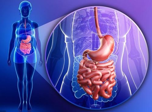 肠炎怎么分辨细菌还是病毒:肠炎怎么分辨细菌还是病毒?这些症状和判断方法请收好! 肠炎怎么分辨细菌还是病毒:肠炎怎么分辨细菌还是病毒?这些症状和判断方法请收好!