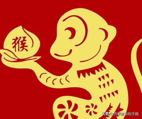 2023年属什么年：2023年属兔，吉祥如意，福运双全—2023兔年运势与性格解析