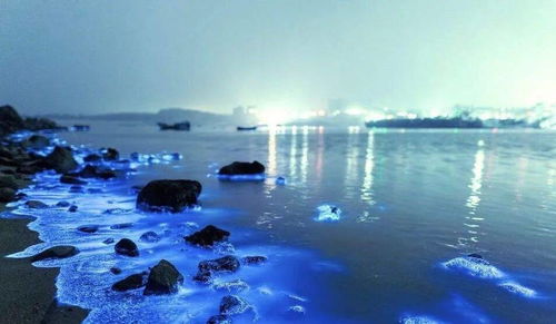 7月6日什么日子:7月6日,世界海啸意识日与历史上的今天 7月6日什么日子:7月6日,世界海啸意识日与历史上的今天