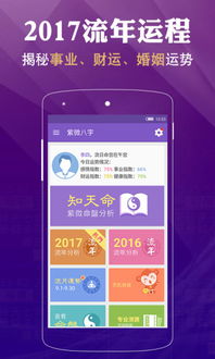 紫薇命盘免费算命详解：免费紫薇命盘测算全攻略，解锁你的八字命理与人生密码