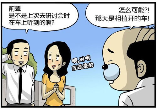 女人梦到单位女性同事：女人梦到单位女性同事，梦境中的隐秘信号与职场关系的微妙映射