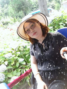 女人梦到单位女性同事：女人梦到单位女性同事，梦境中的隐秘信号与职场关系的微妙映射