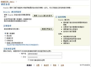 数据库备份文件：数据库备份文件，保障数据安全的核心策略