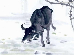 85属牛姻缘何时到：85属牛的你，姻缘何时敲门？从命理到行动，这些时机不容错过