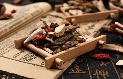 男性精少吃什么中药?男性精少吃什么中药？中医调理助生育