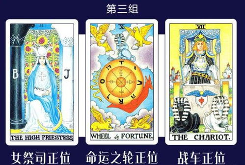 塔罗牌可以算4年后吗：塔罗牌能否窥见四年后的未来？