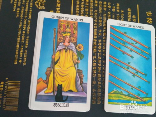 伟特的塔罗牌怎么玩的呀：伟特塔罗牌入门指南，轻松掌握神秘占卜艺术