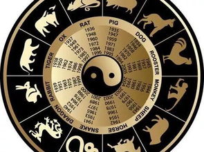 在线铁板神算免费算命：在线铁板神算免费算命，权威占卜平台开启精准命理分析新时代