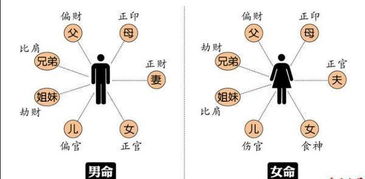 免费生辰八字婚姻：免费生辰八字婚姻解析，科学解读命理中的爱情密码