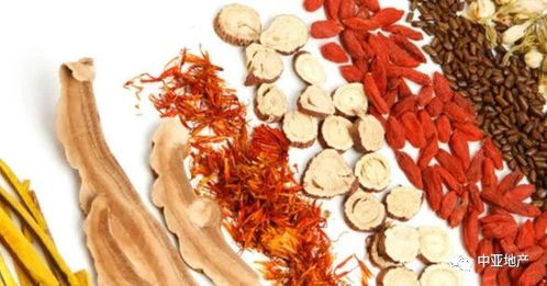 中药大全网：中药大全网，一站式中药知识宝库