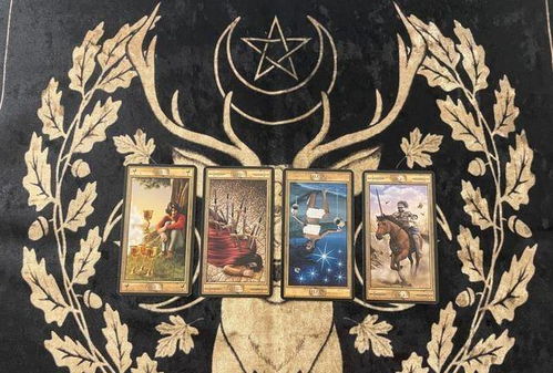 5月6日的塔罗牌怎么读：5月6日塔罗牌神秘解读，权杖骑士引领你的新旅程