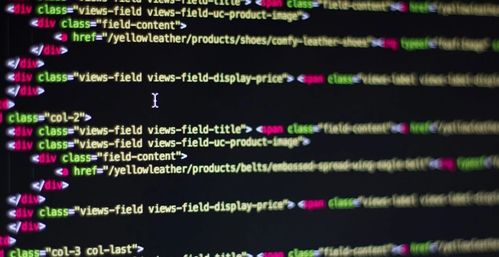 现在什么编程语言最火：2024年最火编程语言TOP10，程序员的转型与机会