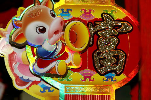 十二生肖配对姻缘查询：十二生肖配对姻缘查询，科学解读与传统文化结合指南