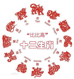 十二生肖配对姻缘查询：十二生肖配对姻缘查询，科学解读与传统文化结合指南