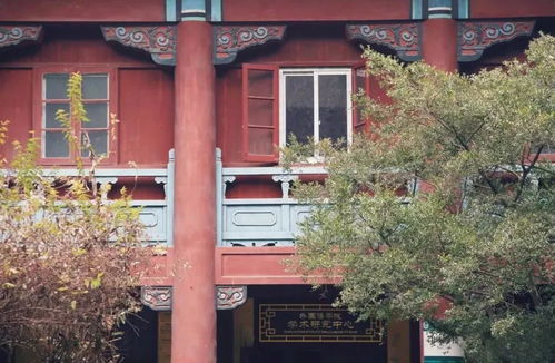 江苏最好15所大学排名（江苏最好15所大学排名榜）