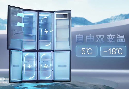 双十一消费新趋势：追觅冰箱以创新科技重新定义保鲜标准