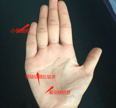 手相看你的婚姻准死了：手相看婚姻，解读掌纹中的爱情密码，准到让人细思极恐