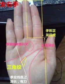 手相看你的婚姻准死了：手相看婚姻，解读掌纹中的爱情密码，准到让人细思极恐