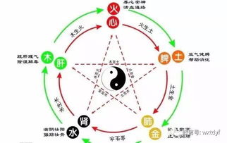 易经解读生辰八字：易经与生辰八字，解码先天命理的千年智慧