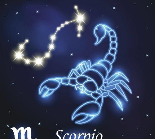 摩羯座命中注定的爱人：摩羯座命中注定的爱人，以岁月为舟，共赴星河万里