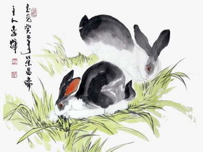 87年属什么的生肖：87年出生的属兔人揭秘，性格命运与运势全解析