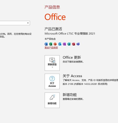 access官网下载：Microsoft Access 官网下载指南，获取正版数据库管理软件