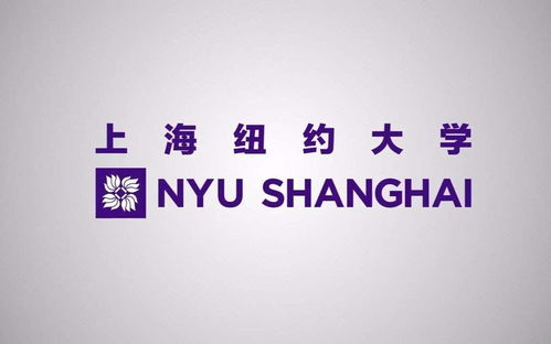 上海纽约大学入学条件（上海纽约大学入学条件2022年）