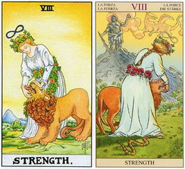 二十四张塔罗牌怎么玩的：二十四张塔罗牌，探索神秘力量与内心世界