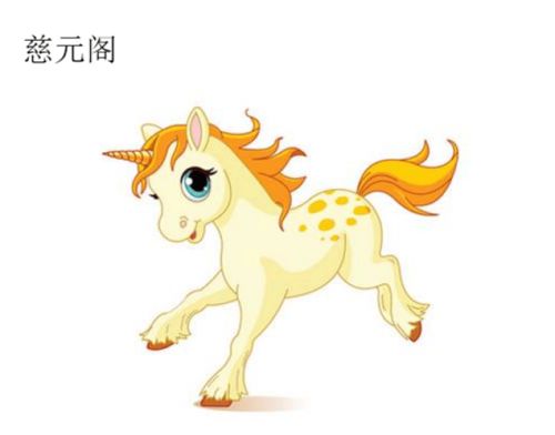 属马人2020年运势运程：属马人2020年运势全解析，机遇与挑战并存，抓住关键节点稳中求进