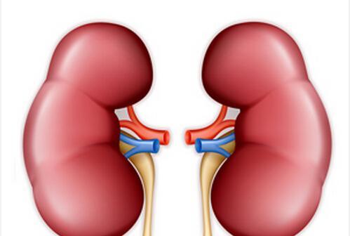 肾阴虚肾阳虚双补的药:阴阳双补,调和肾虚—探寻肾阴虚肾阳虚双补良药 肾阴虚肾阳虚双补的药:阴阳双补,调和肾虚—探寻肾阴虚肾阳虚双补良药