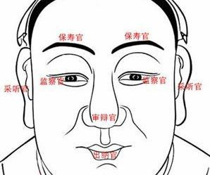 易经面相学看五官图解：易经面相学五官图解，从易经角度解码面部特征与命运玄机