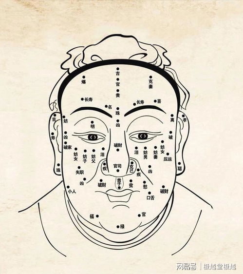 易经面相学看五官图解:易经面相学五官图解,从易经角度解码面部特征与命运玄机 易经面相学看五官图解:易经面相学五官图解,从易经角度解码面部特征与命运玄机