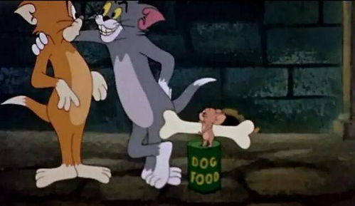 女人梦见死掉的老鼠:死鼠入梦,她的心底藏着怎样的秘密? 女人梦见死掉的老鼠:死鼠入梦,她的心底藏着怎样的秘密?