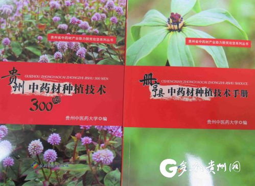 种植药材找什么公司收购:种植药材找什么公司收购?一份实用指南助您找到靠谱收购方