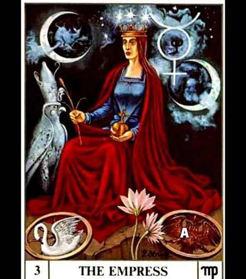 第三只眼塔罗牌解读:第三只眼塔罗牌解读,揭开直觉与灵性觉醒的神秘面纱