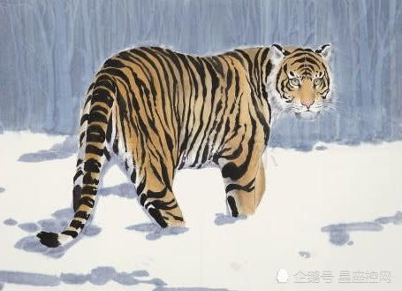 属虎女几月出生最旺夫：属虎女几月出生最旺夫？传统命理与现代婚恋观下的科学解读