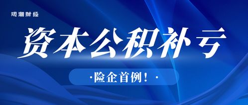 险企首例!新规落地,安盟财险1.46亿资本公积补亏优化结构,行业再添新财务工具应用范例