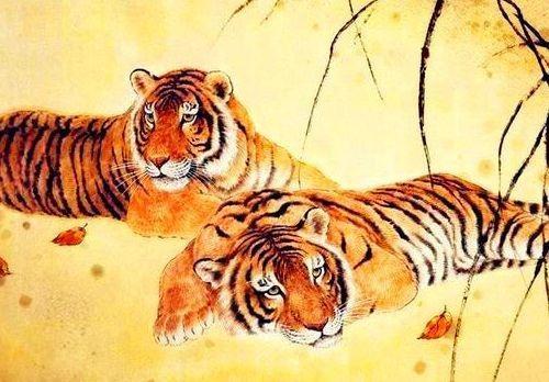 梦到老虎发横财什么意思：梦到老虎发横财，神秘梦境背后的深层含义